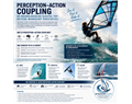 perception action coupling bij windsurfen waarom het de sleutel is tot topprestaties in wave freestyle en slalom
