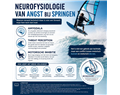 de neurofysiologie van angst bij de forward loop