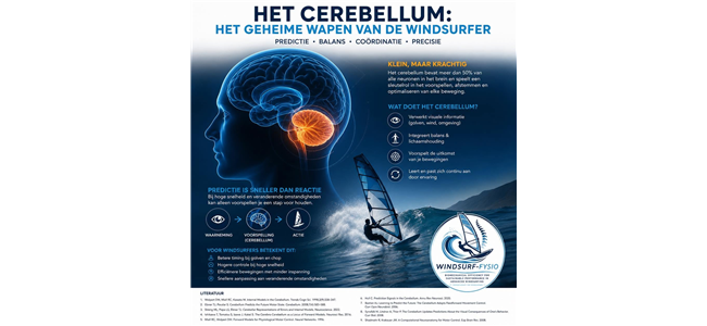 de rol van het cerebellum bij wave freestyle en slalomwindsurfen een neurofysiologische analyse binnen perception action coupling en het forward internal model
